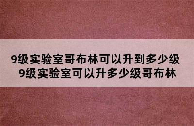 9级实验室哥布林可以升到多少级 9级实验室可以升多少级哥布林